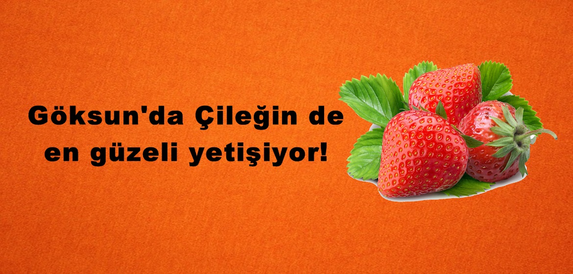 Göksun’da Çileğin de en güzeli yetişiyor!