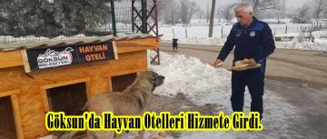 Göksun’da Hayvan Otelleri Hizmete Girdi.