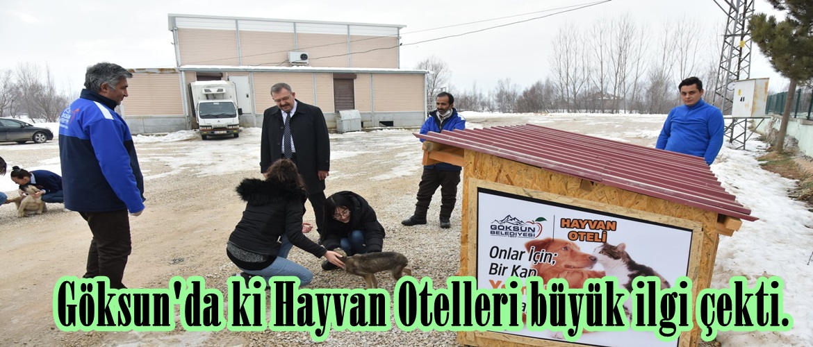 Göksun’da ki Hayvan Otelleri büyük ilgi çekti.