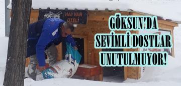 GÖKSUN’DA SEVİMLİ DOSTLAR UNUTULMUYOR!