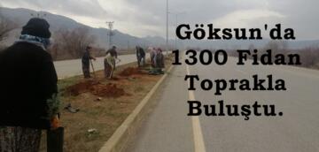 Göksun’da 1300 Fidan Toprakla Buluştu.