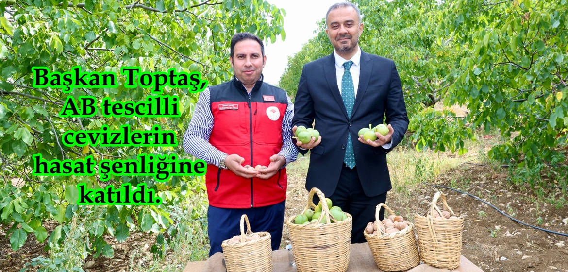 Başkan Toptaş, AB tescilli cevizlerin hasat şenliğine katıldı.