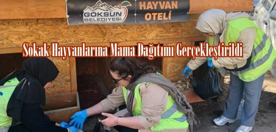 Göksun’da Sokak Hayvanlarına Mama Dağıtımı Gerçekleştirildi.